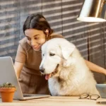 Digital Marketing for Vets​