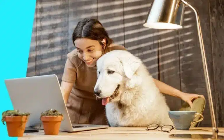 Digital Marketing for Vets​