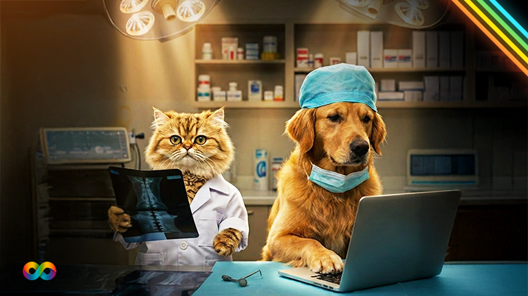 21 Top Veterinary SEO Tips for Veterinary Practices (2025)