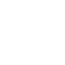 What Is Flutter?