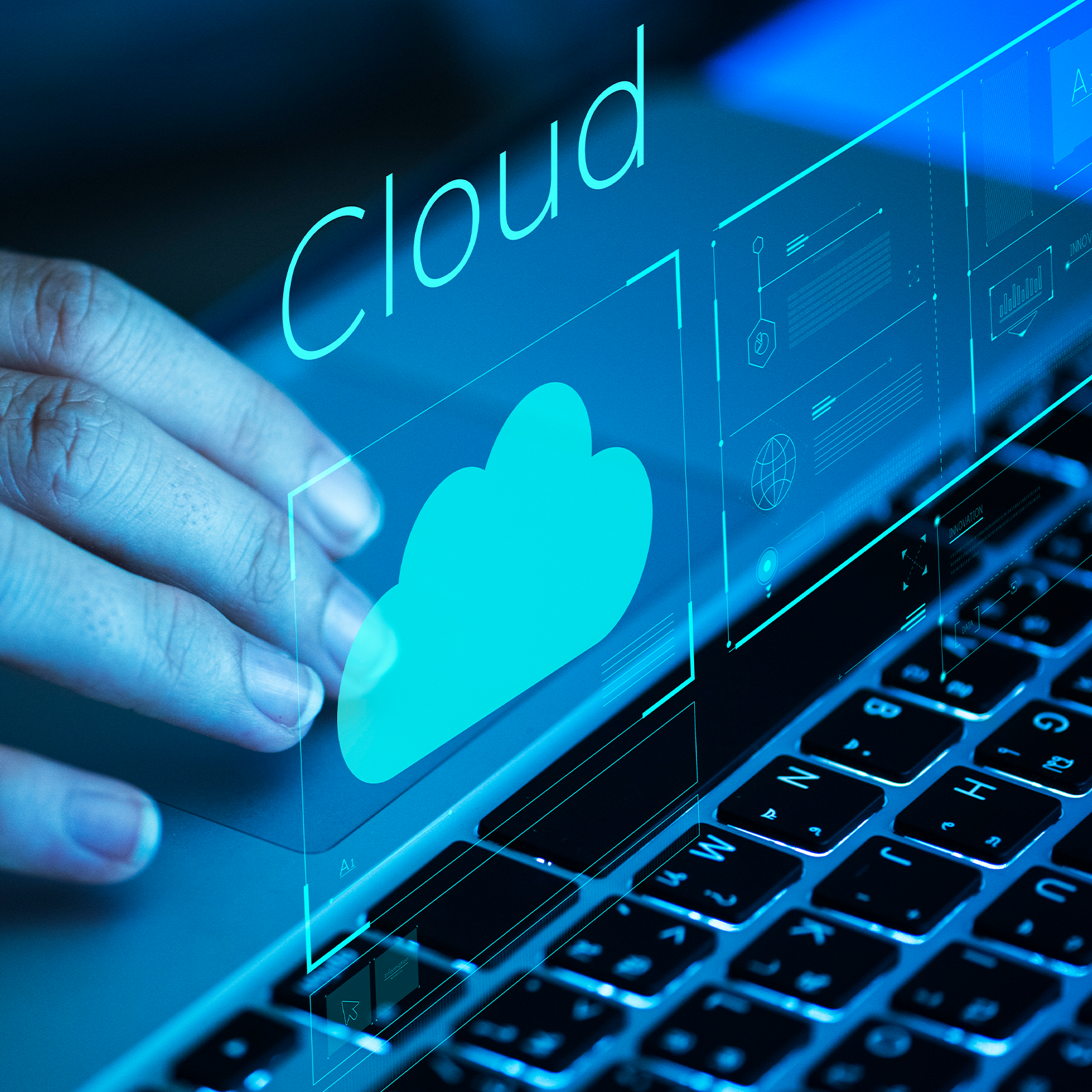 WordPress Migration Services