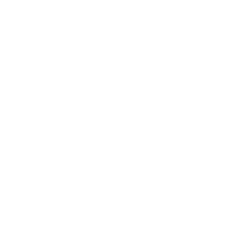 Conversion Audits