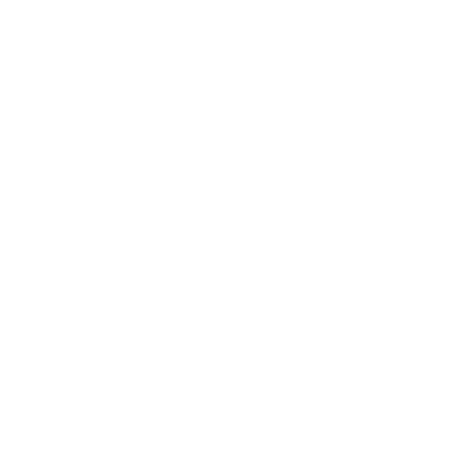 Shopify Theme Customization