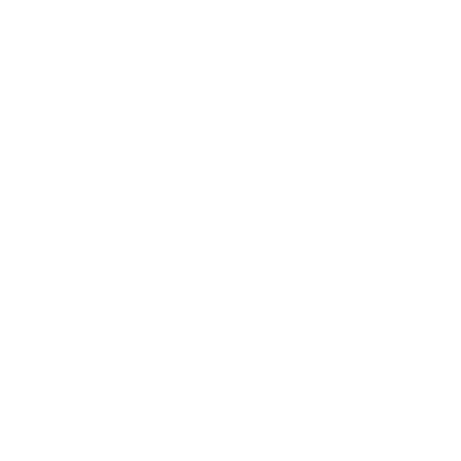 Custom Development