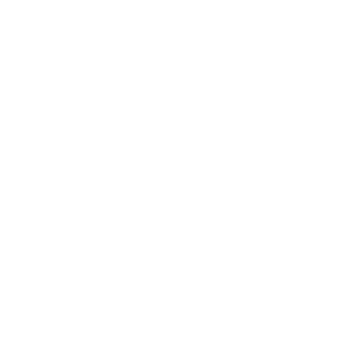 Custom Web Applications