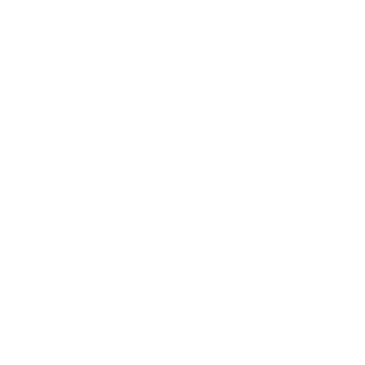 Shopify SEO Services