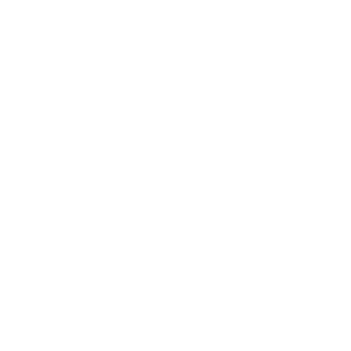 Video & Motion Graphics
