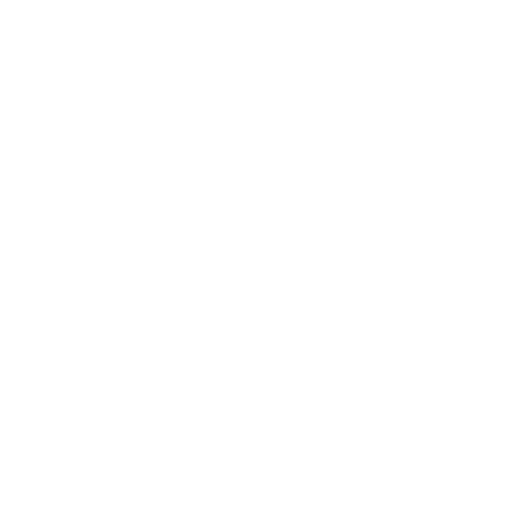 Log file and crawl budget analysis
