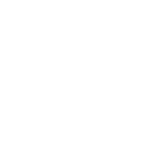 No Online Presence