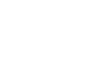 Ace Course